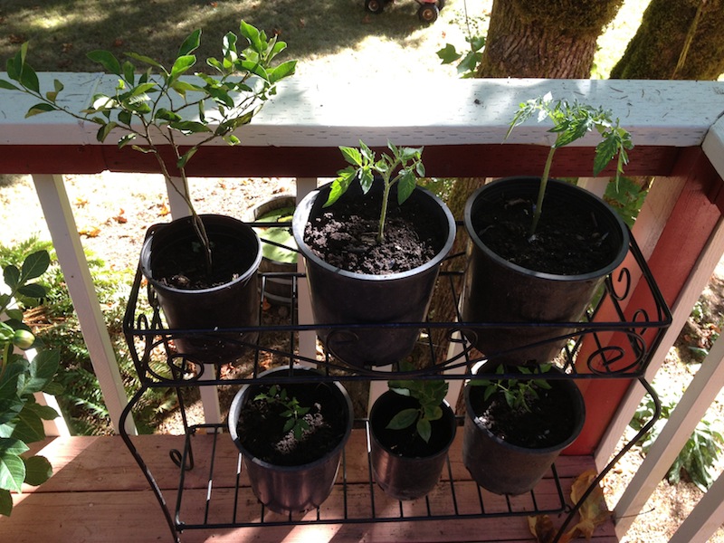 2012-10-01 15.15.59.jpg