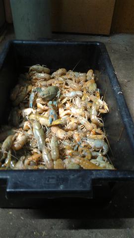 IMAG0143 (Small).jpg