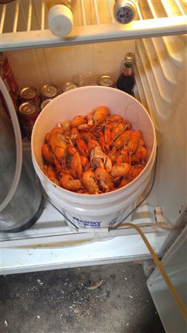 IMAG0145 (Small).jpg