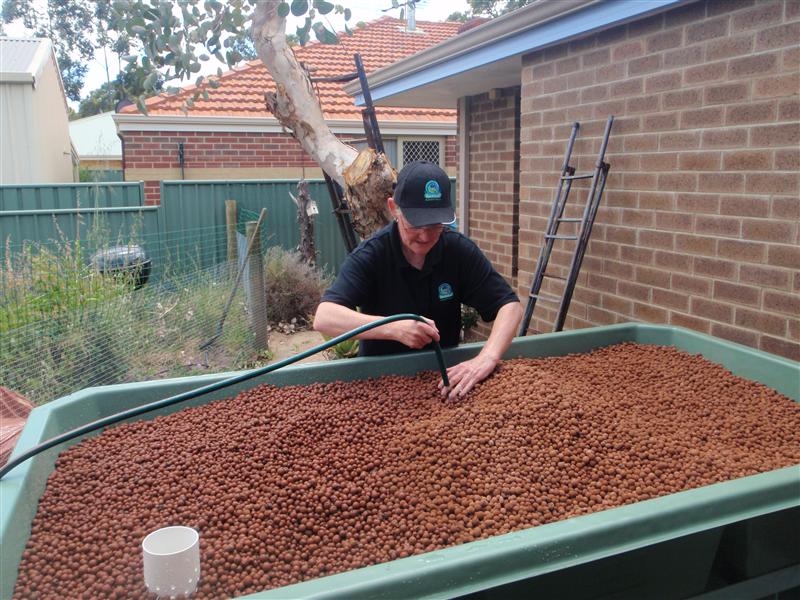 PA180308 (Custom).JPG