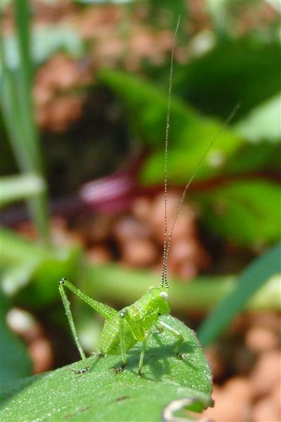 PA200310 c (Custom).jpg