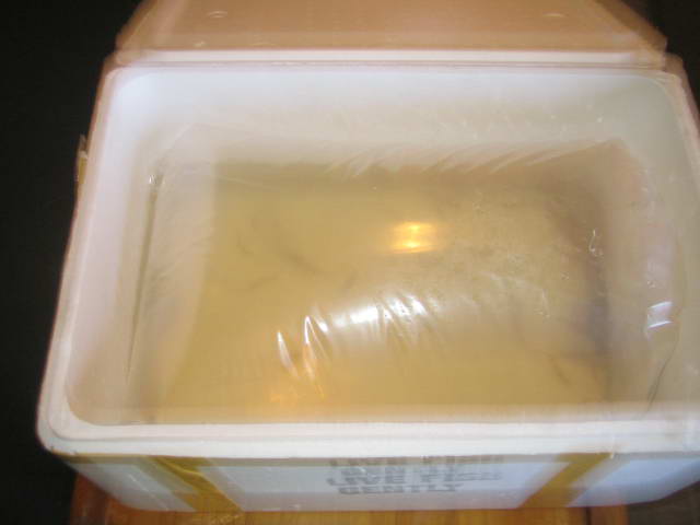 2006-08-24 Delivery of jadies from AusyFish 2.jpg