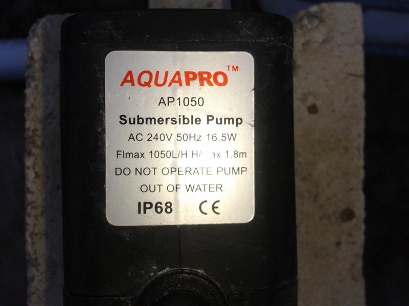 2012-10-06 16.31.43 (Medium).jpg