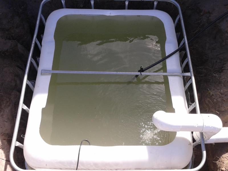 2012-10-07 14.40.42 (Medium).jpg