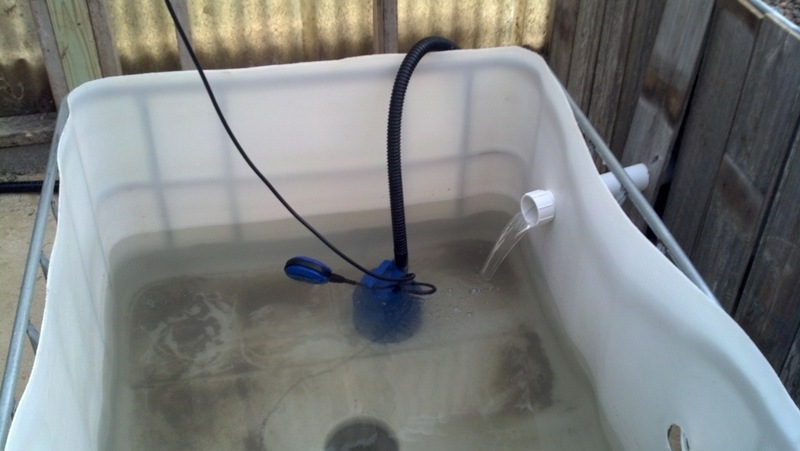 Testing pump times.jpg