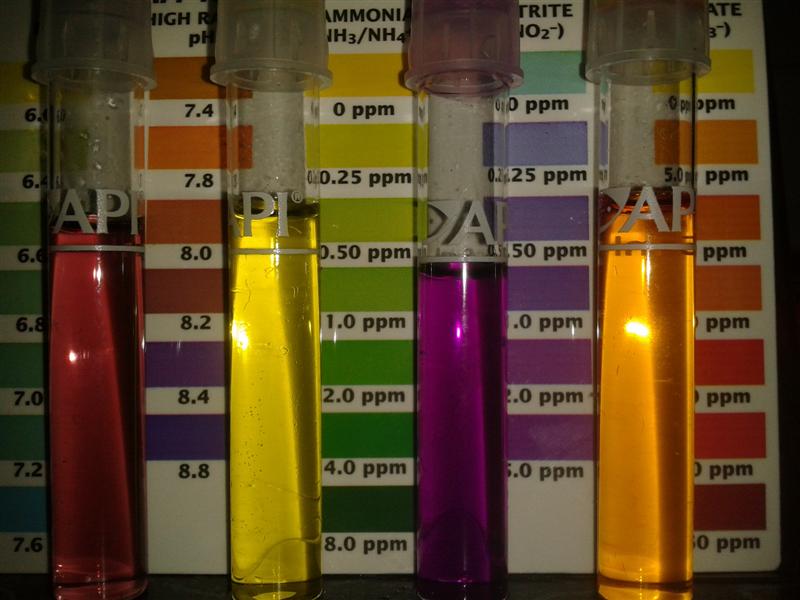 2012-10-24 20.19.33 (Medium).jpg