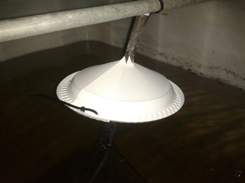 2012-10-24 18.33.12 (Medium).jpg