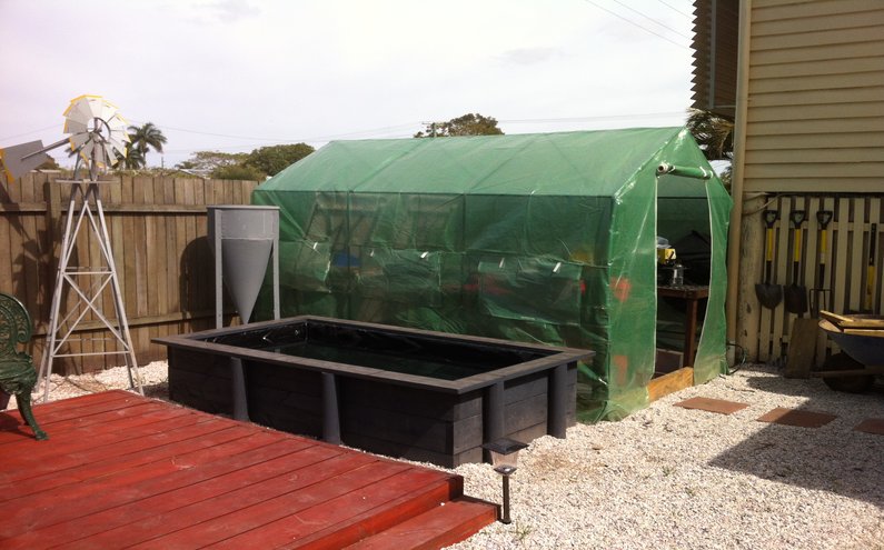 Pond green house 2.jpg