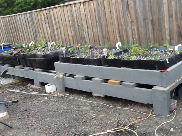 ImageUploadedByTapatalk HD1351147763.711506.jpg