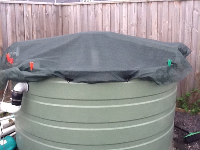 ImageUploadedByTapatalk HD1351152922.142614.jpg