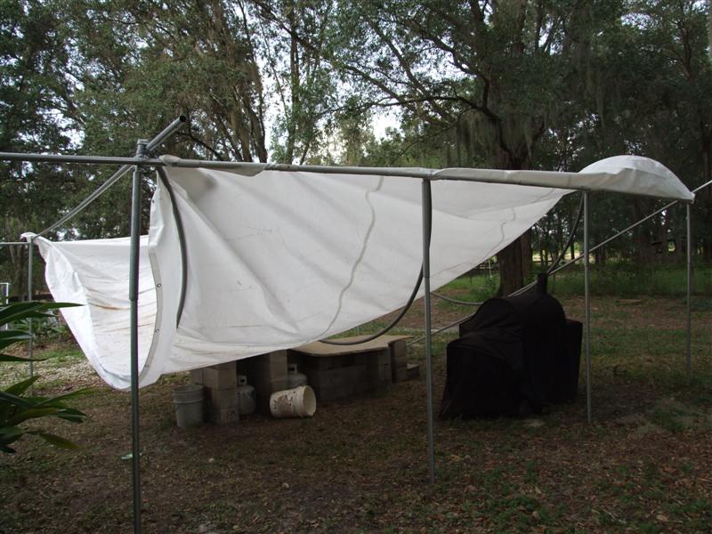 DSCF8084 (Medium).JPG