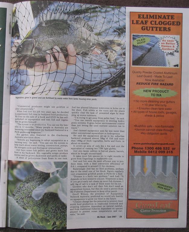 IMG_2329 (Large).jpg