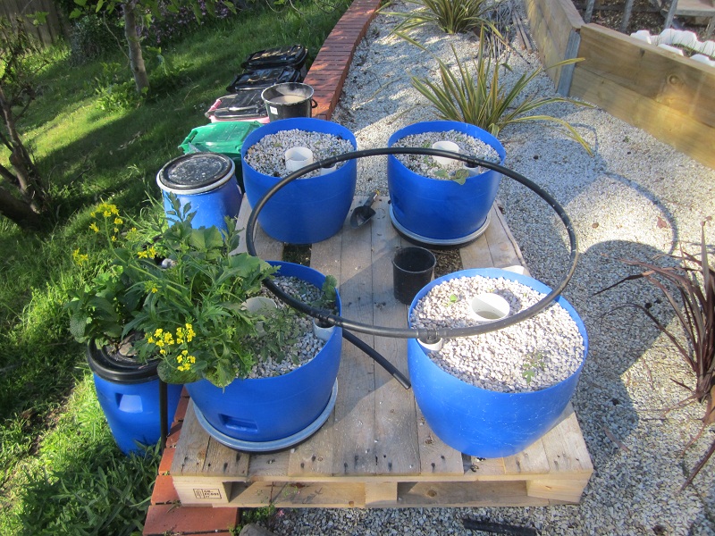 spot the difference.jpg