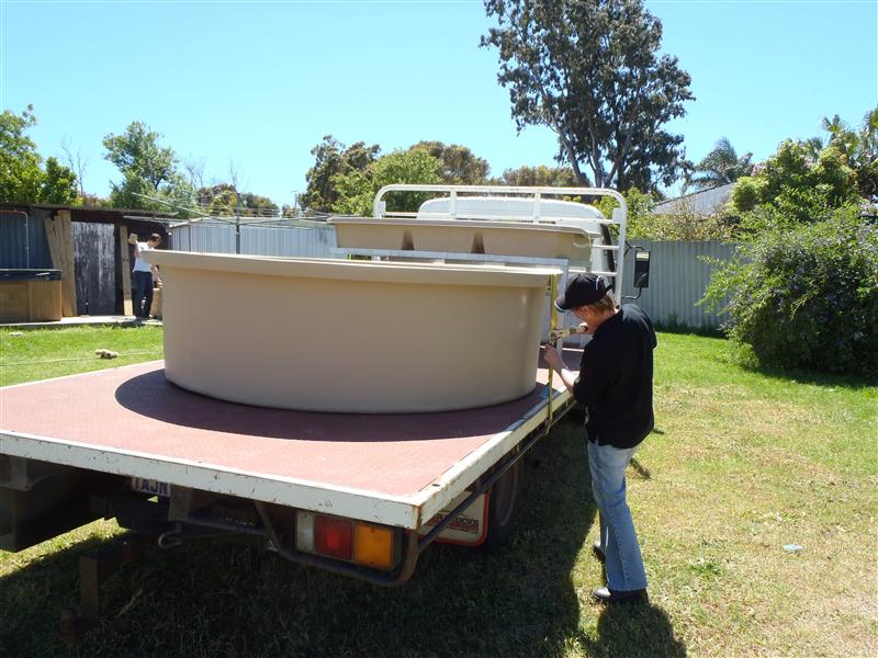 PA250020 (Custom).JPG