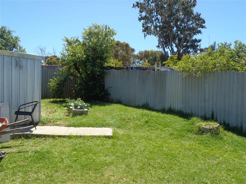 PA250018 (Custom).JPG