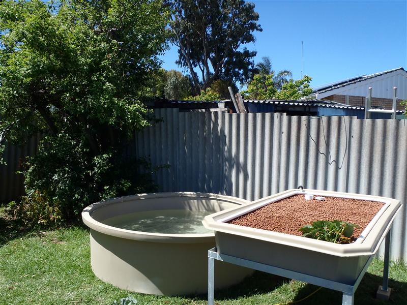 PA250028 (Custom).JPG