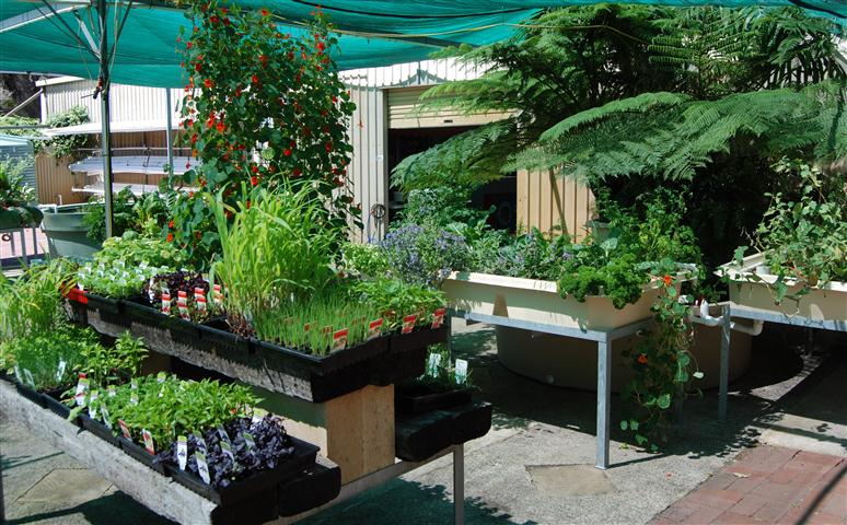 DSC_0425 r (Small).jpg