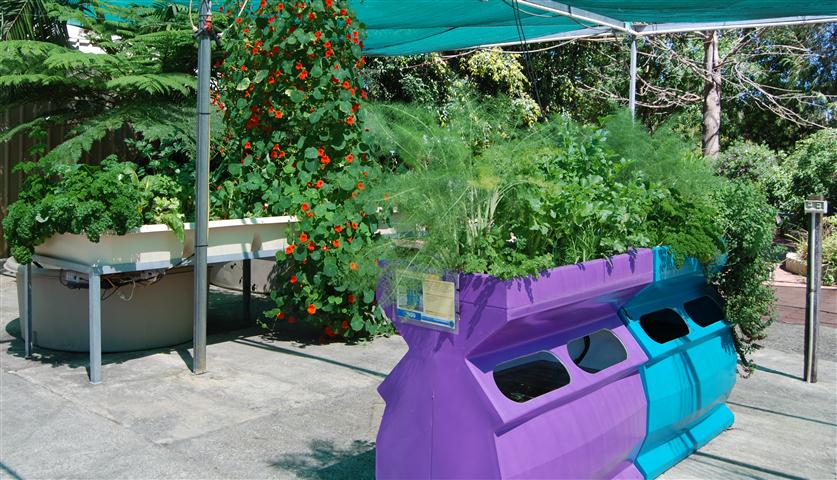 DSC_0423 r (Small).jpg