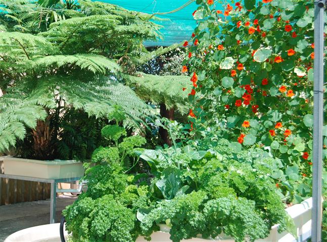 DSC_0422 r (Small).jpg