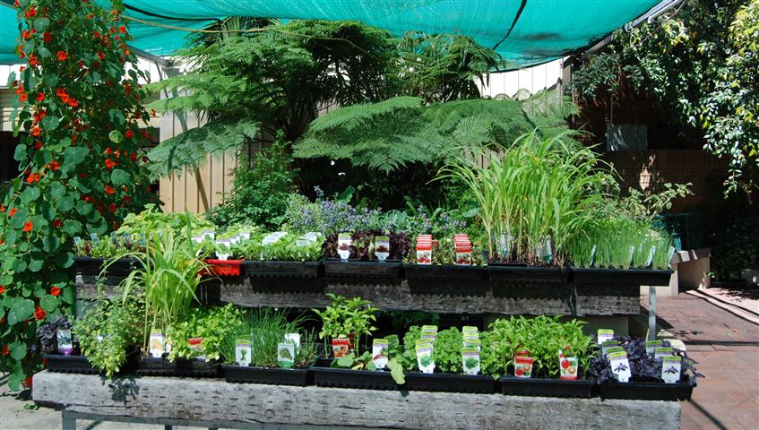 DSC_0424 r (Small).jpg