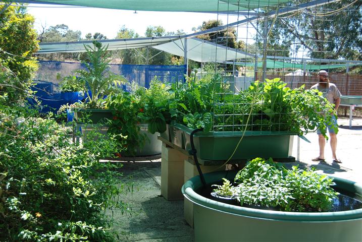 DSC_0427 (Small).JPG