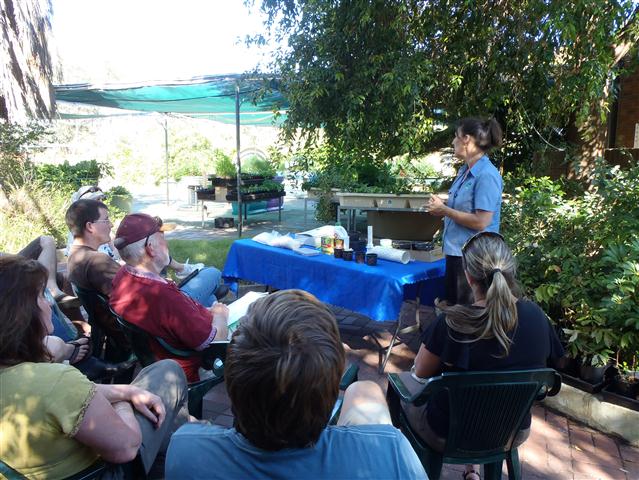 P1010027 (Small).JPG