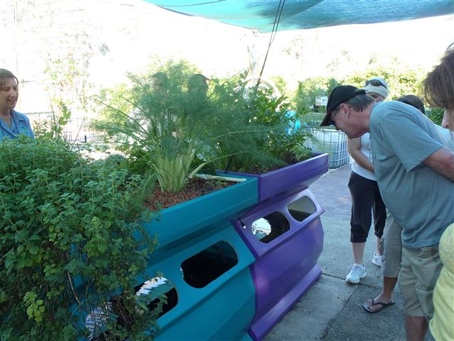 P1010031 (Small).JPG