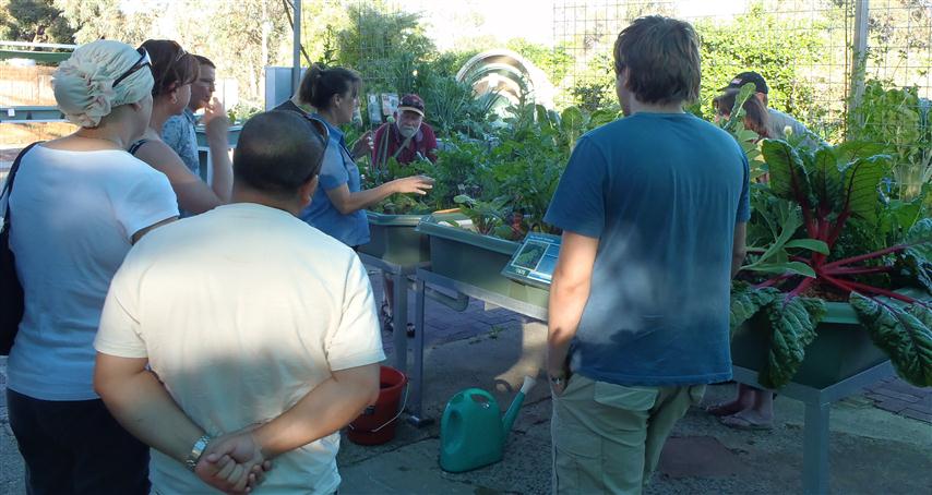 P1010039 r (Small).jpg