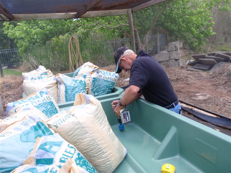 PB020006 (Custom).JPG