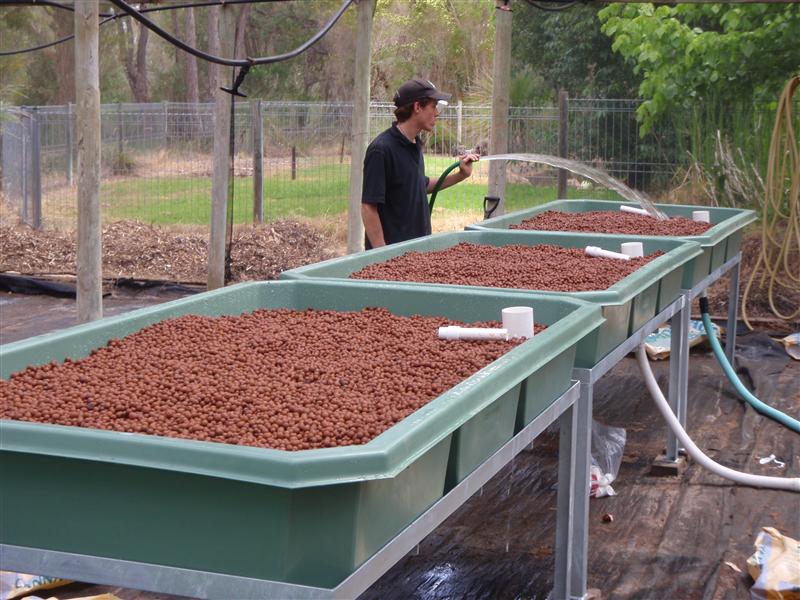 PB020009 (Custom).JPG