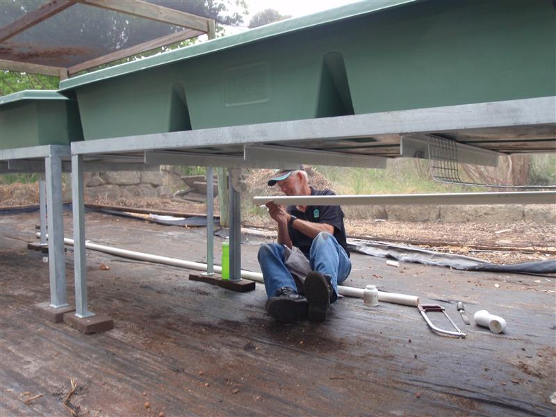 PB020010 (Custom).JPG