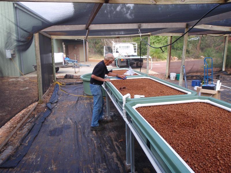 PB020011 (Custom).JPG