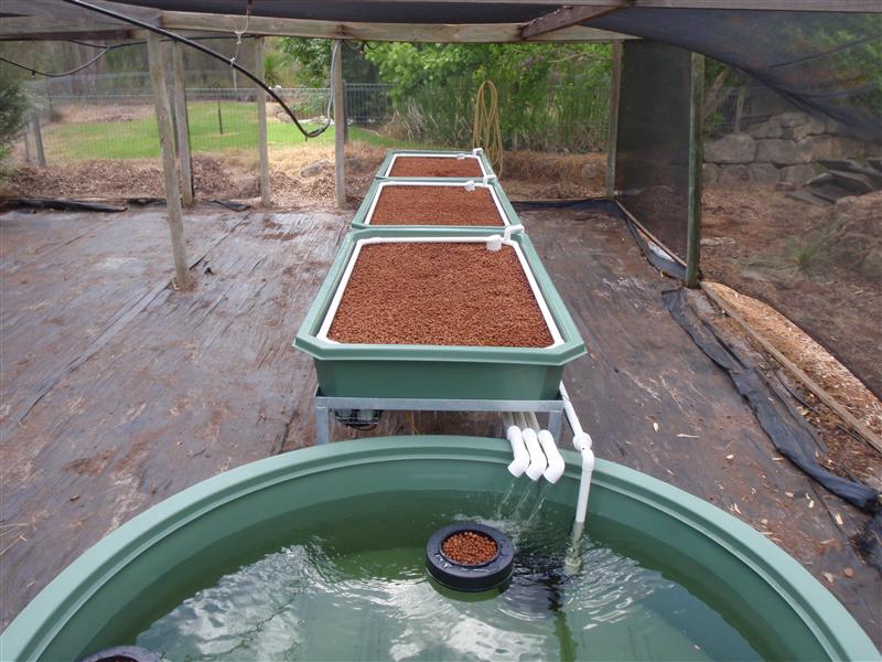 PB020022 (Custom).JPG