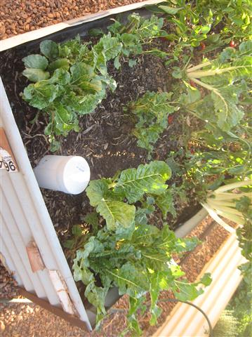 today 002 (Small).JPG