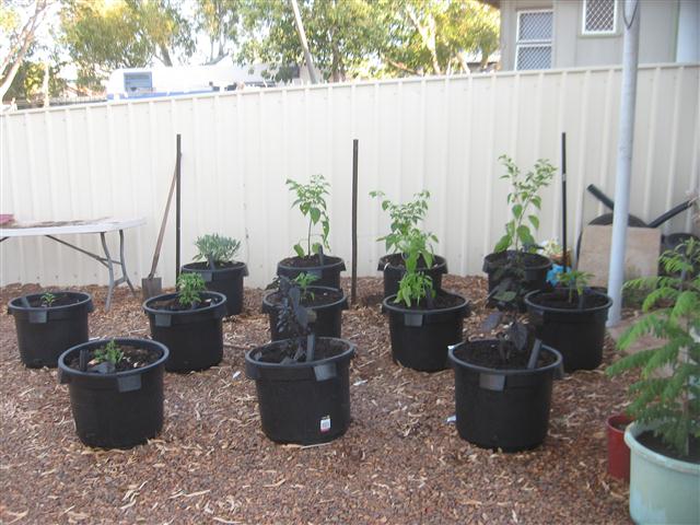 today 007 (Small).JPG