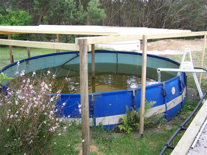 100_7327 (Custom).JPG