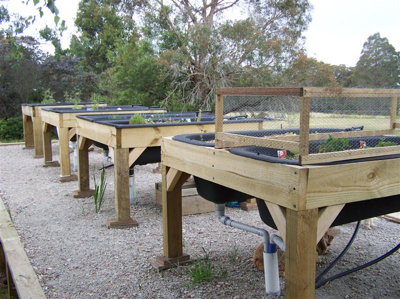 100_7326 (Custom).JPG