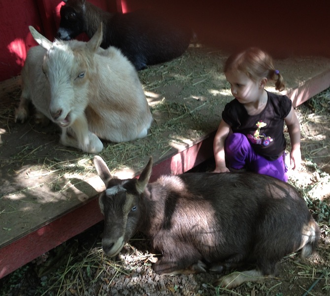 2012-09-18 12.30.38.jpg