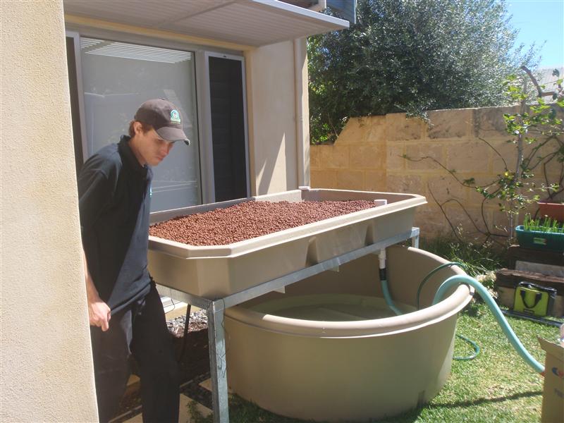 PB080057 (Custom).JPG