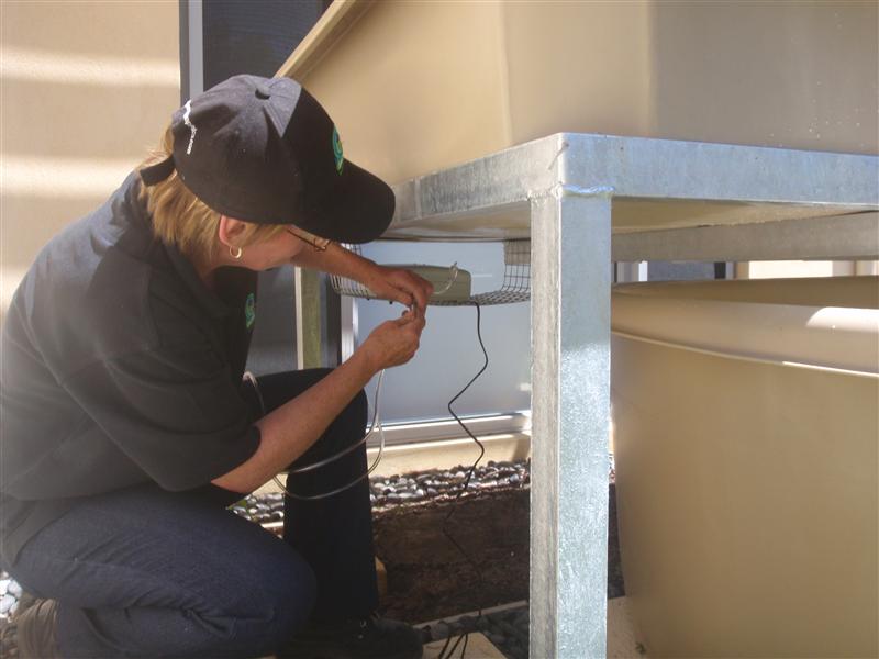 PB080056 (Custom).JPG