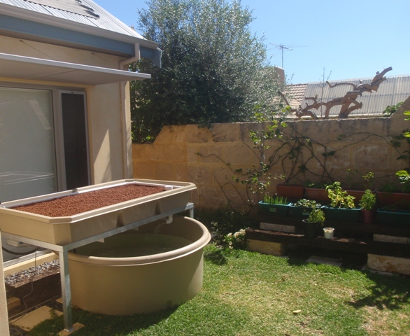 PB080059 mission complete.jpg