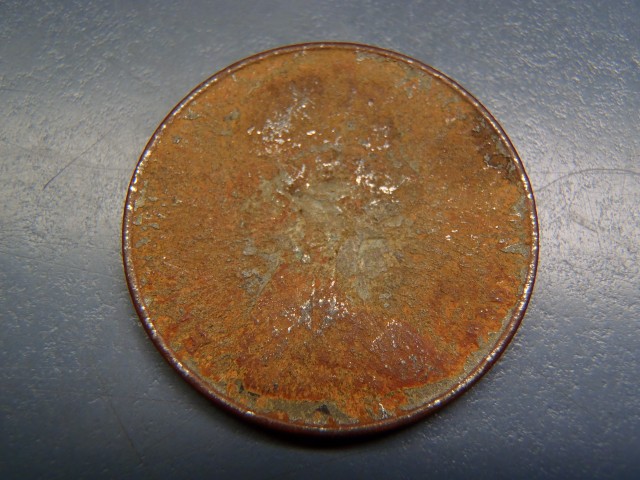 P1010004 (Small).JPG