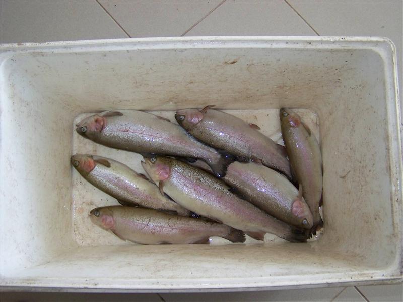 100_7356 (Custom).JPG