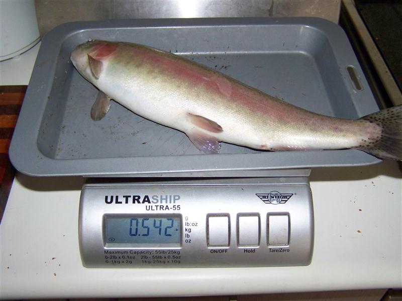 100_7357 (Custom).JPG