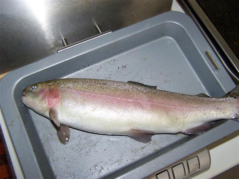 100_7358 (Custom).JPG