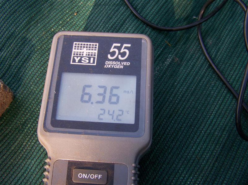 100_7364 (Custom).JPG