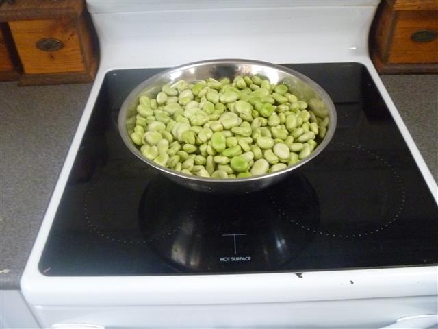 P1010086 (Small).JPG