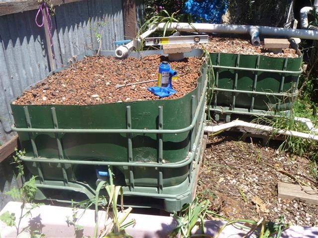 P1010087 (Small).JPG