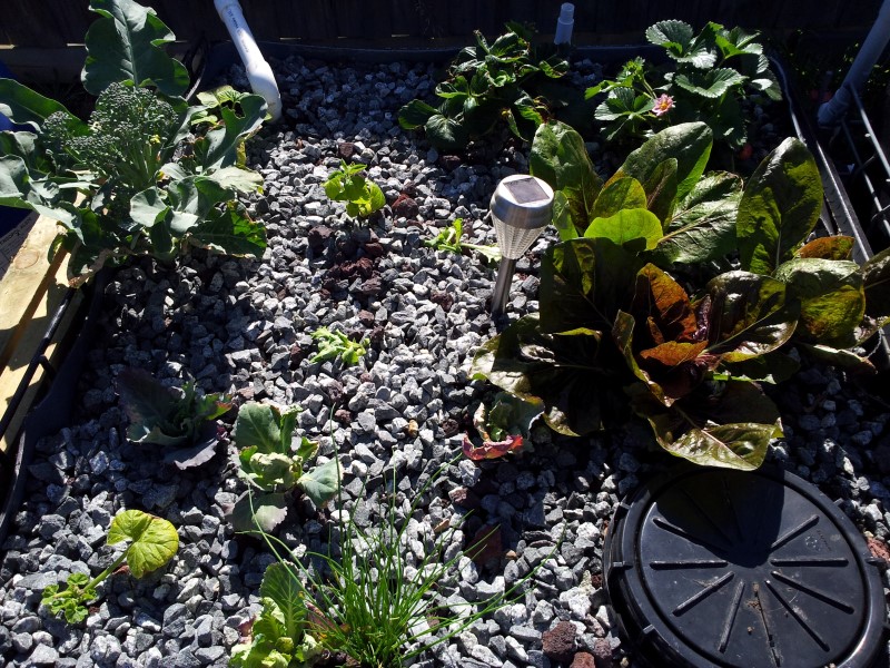 20121110_163311 (Custom).jpg