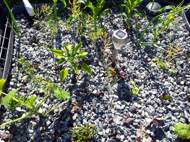 20121110_163319 (Custom).jpg